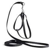 Комплект Kareline нерегулируемая шлея и поводок для собак, светоотражающие, 1/30×33 см