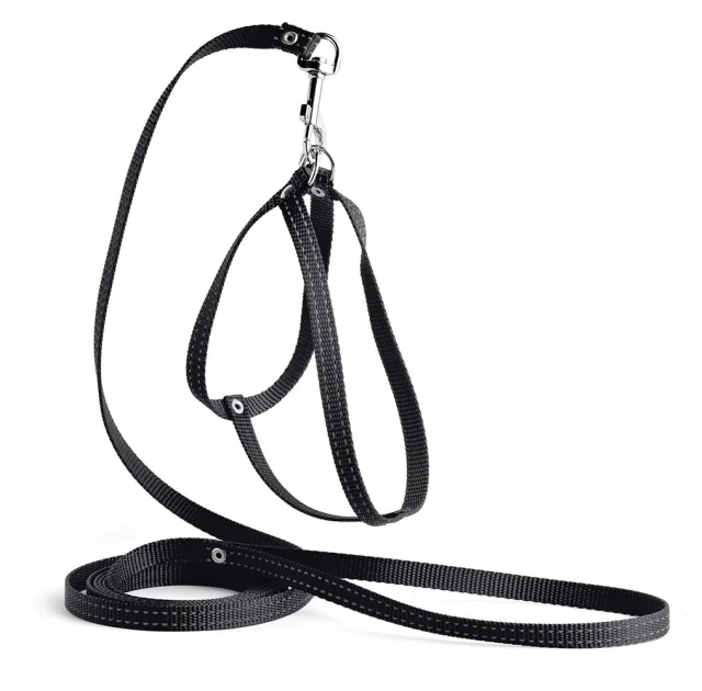 Комплект Kareline нерегулируемая шлея и поводок для собак, светоотражающие, 1/30×33 см