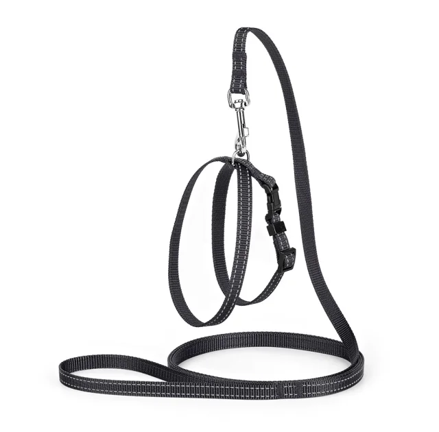Комплект Kareline регулируемая шлея и поводок для собак, 1/30×33 см