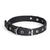 Нашийник Kareline бзерозмірний для собак, полікотон та шкіра, одинарний, 3.5×31-68 см