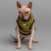 Майка Style Pets Multikam для котів, принт, розмір M+