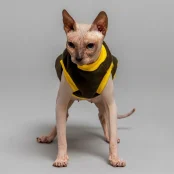Майка Style Pets Classic khaki для котів, розмір L