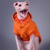 Кофта з рукавами Style Pets Squash для котів, розмір M-