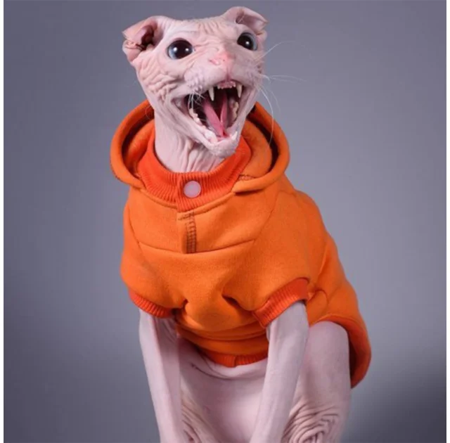 Кофта з рукавами Style Pets Squash для котів, розмір L-