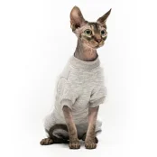 Боді Style Pets Steya для котів, колір сірий, розмір L-