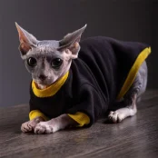 Кофта Style Pets Classic black для котів, розмір XL+