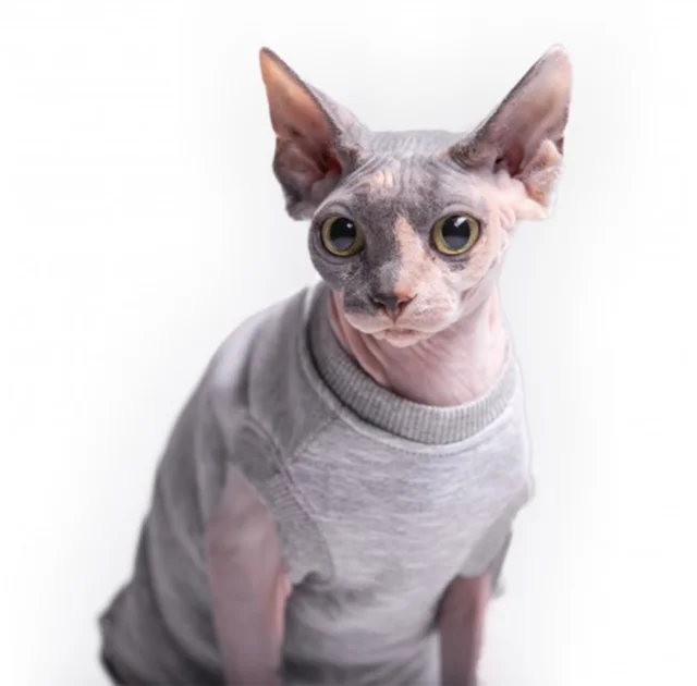 Майка без рукава Style Pets Martin для котів, розмір M-