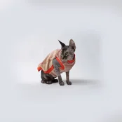 Майка Style Pets ALL NEW для котів, розмір L