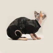 Боді Style Pets EMERALD теплий, для котів, розмір M