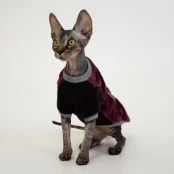 Кофта Style Pets FaceSPM для котів, колір марсала, розмір M+