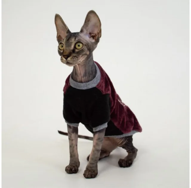 Кофта Style Pets FaceSPM для котів, колір марсала, розмір XL+