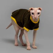 Кофта Style Pets Classic khaki для котів, розмір M-