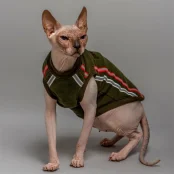 Кофта Style Pets ELVIN для котів, колір зелений, розмір XL+