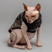 Майка Style Pets Emerald для котів, принт, розмір XXS