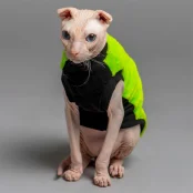Майка Style Pets FaceSPS для котів, колір зелений, розмір L+