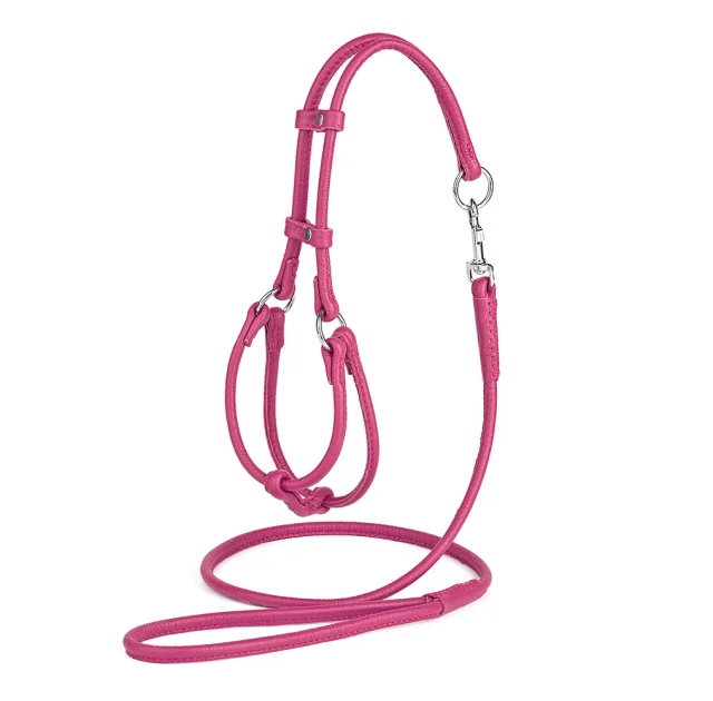 Комплект Kareline шлея и поводок круглые для собак, из мягкой кожи, 0.5/28-35×33-40 см