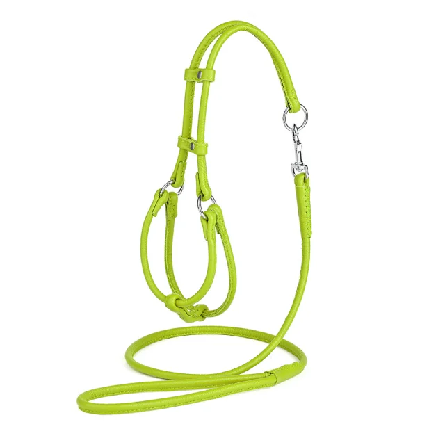 Комплект Kareline шлея и поводок круглые для собак, из мягкой кожи, 0.5/28-35×33-40 см