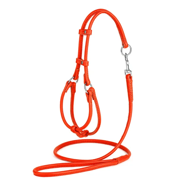 Комплект Kareline шлея и поводок круглые для собак, из мягкой кожи, 0.5/28-35×33-40 см