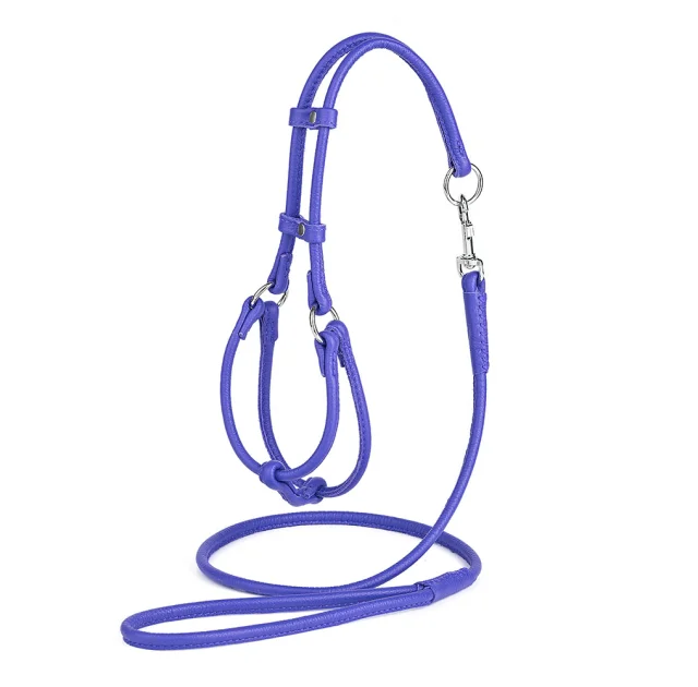 Комплект Kareline шлея и поводок круглые для собак из мягкой кожи, 0.5/35-42×40-47 см