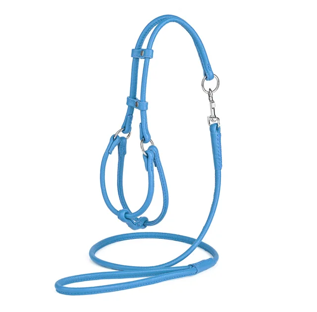Комплект Kareline шлея и поводок круглые для собак из мягкой кожи, 0.5/35-42×40-47 см