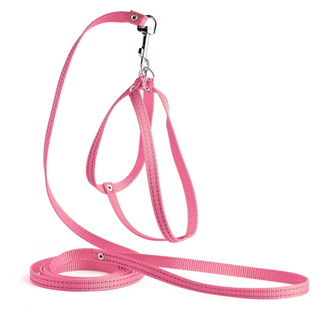 Комплект Kareline нерегулируемая шлея и поводок для собак, светоотражающие, 1/30×33 см