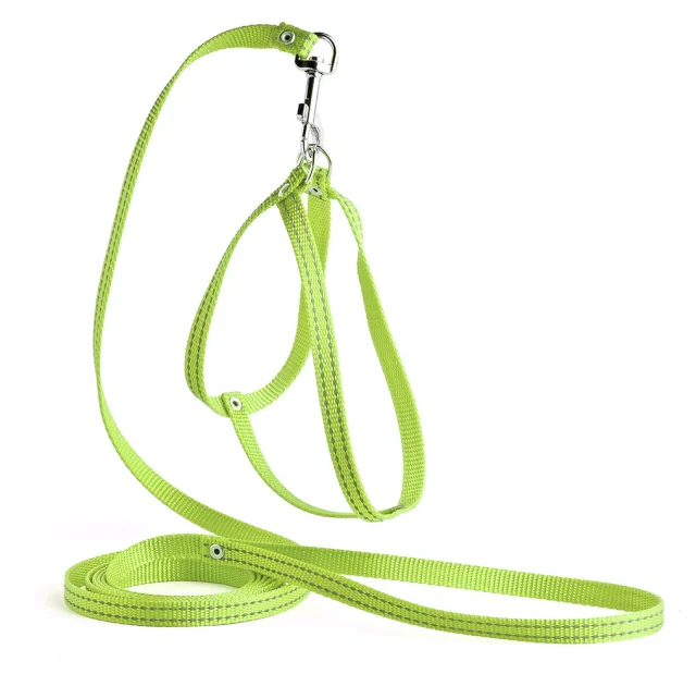 Комплект Kareline нерегулируемая шлея и поводок для собак, светоотражающие, 1/30×33 см