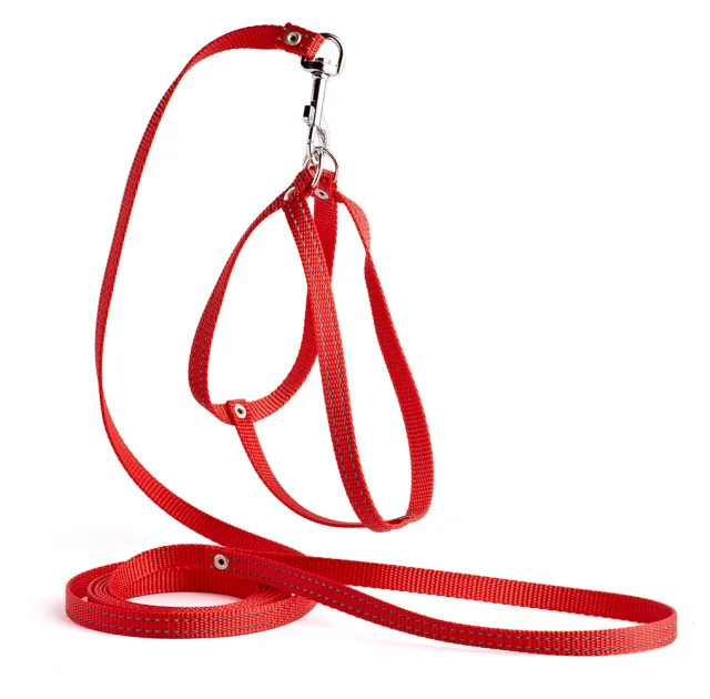 Комплект Kareline нерегулируемая шлея и поводок для собак, светоотражающие, 1/30×33 см