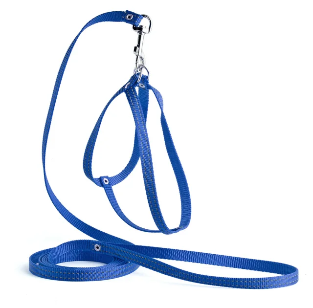 Комплект Kareline нерегулируемая шлея и поводок для собак, светоотражающие, 1/30×33 см