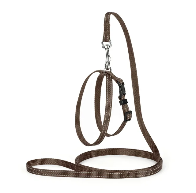 Комплект Kareline регулируемая шлея и поводок для собак, 1/30×33 см