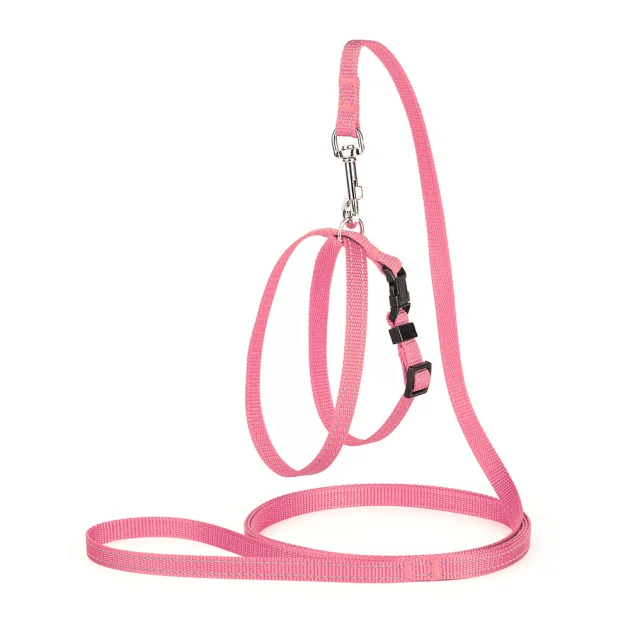 Комплект Kareline регулируемая шлея и поводок для собак, 1/30×33 см