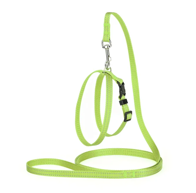 Комплект Kareline регулируемая шлея и поводок для собак, 1/30×33 см