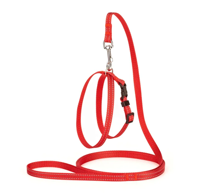 Комплект Kareline регулируемая шлея и поводок для собак, 1/30×33 см