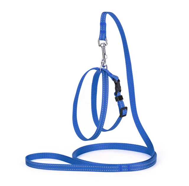 Комплект Kareline регулируемая шлея и поводок для собак, 1/30×33 см
