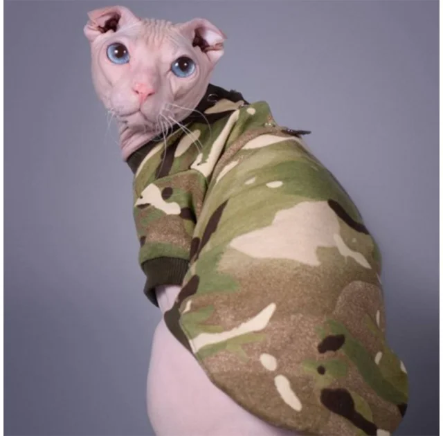 Кофта Style Pets Multikam для котів, принт, розмір L