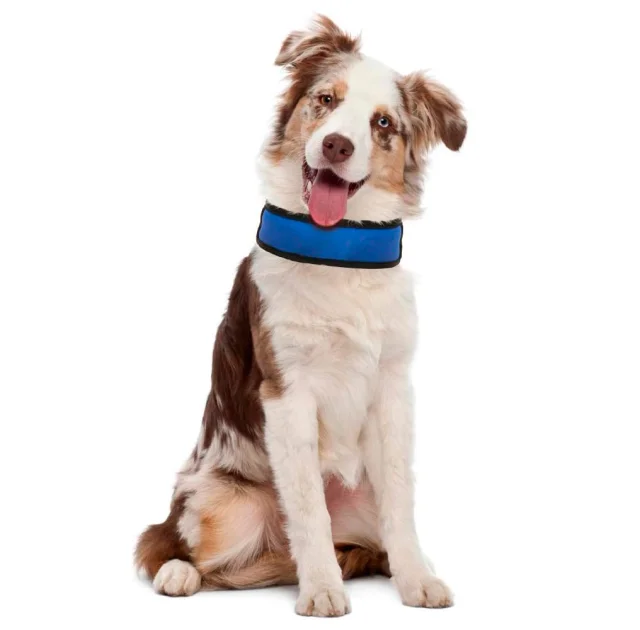 Охолоджуючий нашийник Croci Harness Fresh для собак, нейлон, синій, 50×6 см