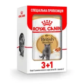 Влажный корм Royal Canin British Shorthair Adult для британских кошек, 85 г, акция 3+1