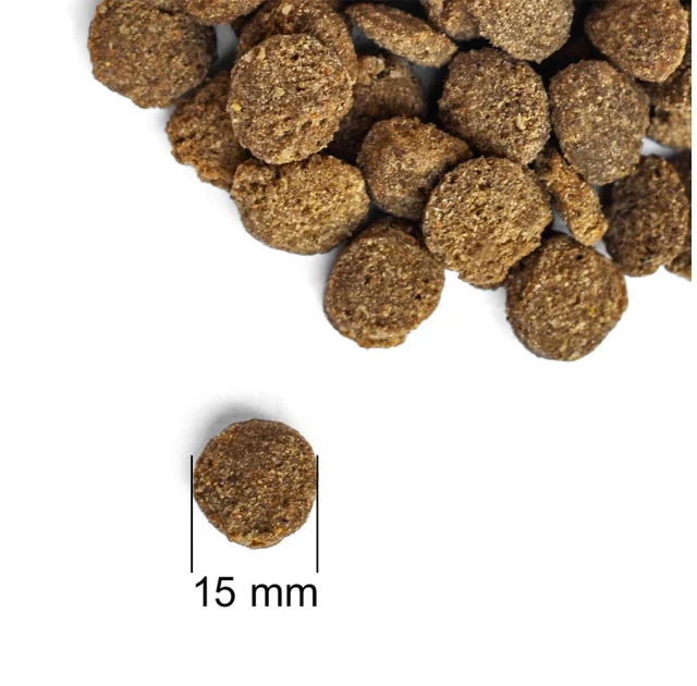 Сухий корм Practik Fresh Dog&Puppy 4 Proteins для цуценят та собак середніх та великих порід, 1 кг