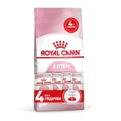Акційний набір Royal Canin Kitten для кошенят від 4 до 12 місяців, 2 кг + 4 паучі в подарунок