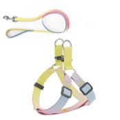 Комплект шлея з повідцем AnimAll для маленьких собак та всіх порід кішок, пантон 2, 1/25-30/180 см