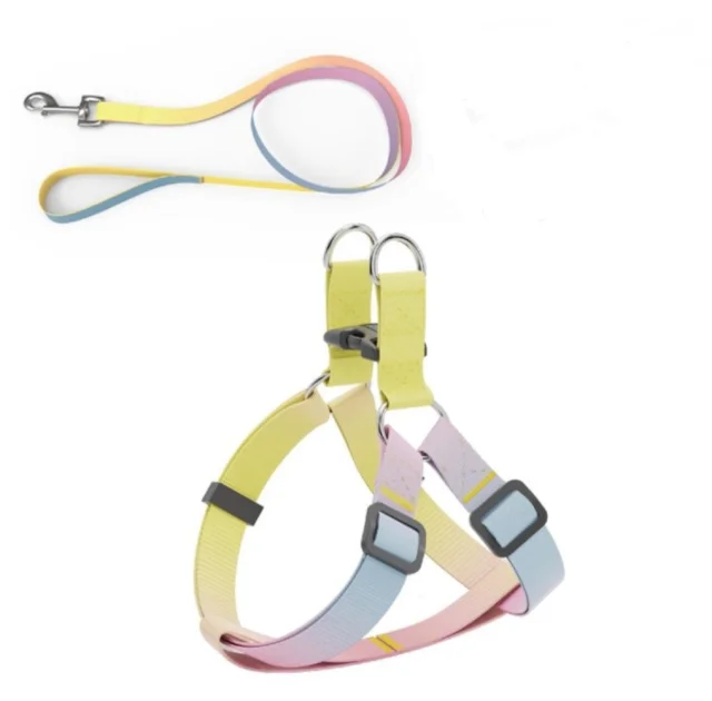 Комплект шлея с поводком AnimAll для маленьких собак и всех пород кошек, пантон 2, 1/25-30/180 см