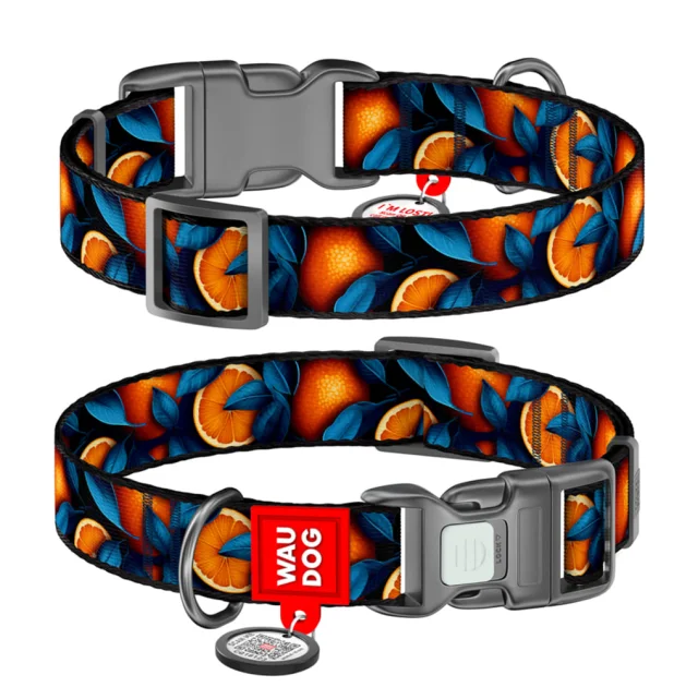 Ошейник Waudog Nylon с QR паспортом для собак нейлоновый, рисунок "Апельсины",  S, ширина 15 мм, длина 25-35 см
