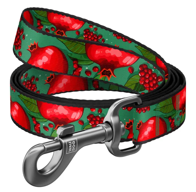Поводок Waudog Nylon для собак, рисунок "Гранаты", нейлоновый, S, ширина: 15 мм, длина: 122 см