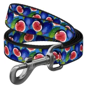 Повідець Waudog Nylon для собак, малюнок "Інжир", нейлоновий, M, ширина: 20 мм, довжина: 122 см