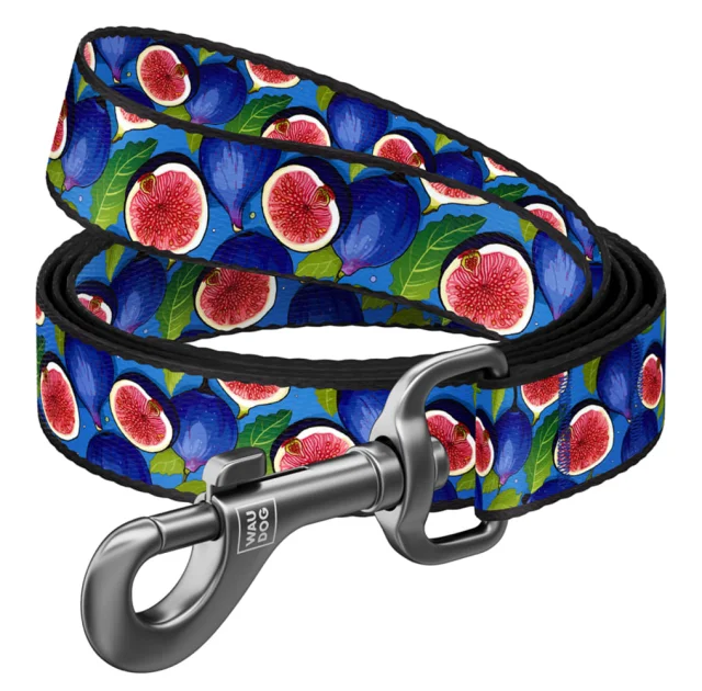 Повідець Waudog Nylon для собак, малюнок "Інжир", нейлоновий, M, ширина: 20 мм, довжина: 122 см