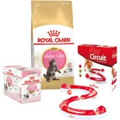 Набор сухого корма Royal Canin Maine Coon Kitten 2 кг + влажный корм 12 шт по 85 г + игровой трек в подарок