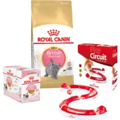 Набор сухого корма Royal Canin Kitten British Shorthair 2 кг + влажный корм 12 шт по 85 г + игровой трек в подарок