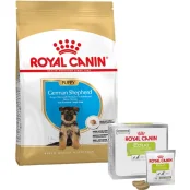 Набір сухий корм Royal Canin Puppy German Shepherd 12 кг + ласощі Educ 30 шт у подарунок