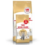 Сухий корм Royal Canin British Shorthair Adult для британських короткошерстих кішок, 2 кг + 400 г у подарунок