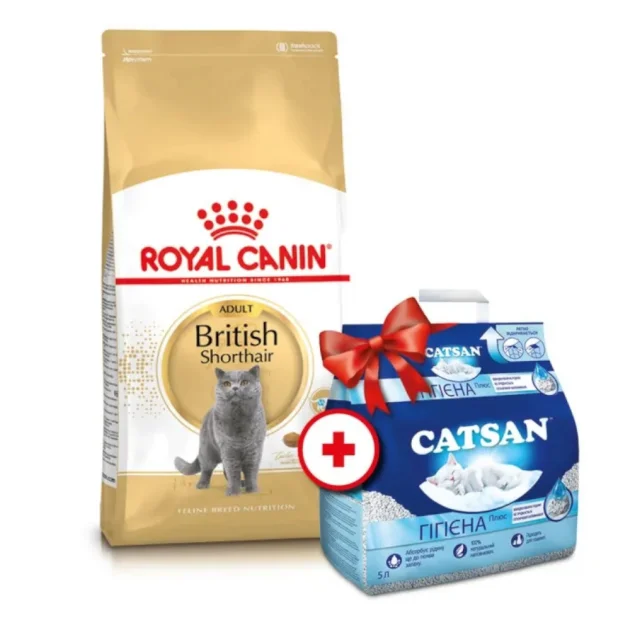 Сухий корм Royal Canin British Adult для британських короткошерстих котів, 4 кг + наповнювач Catsan 5 л у подарунок