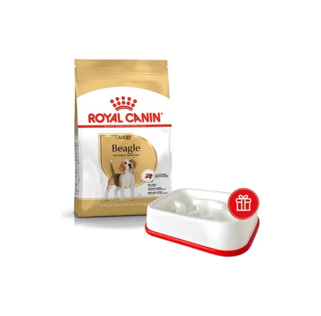 Промо набор Сухой корм Royal Canin Beagle Adult для собак породы бигль, 3 кг + интерактивная кормушка в подарок